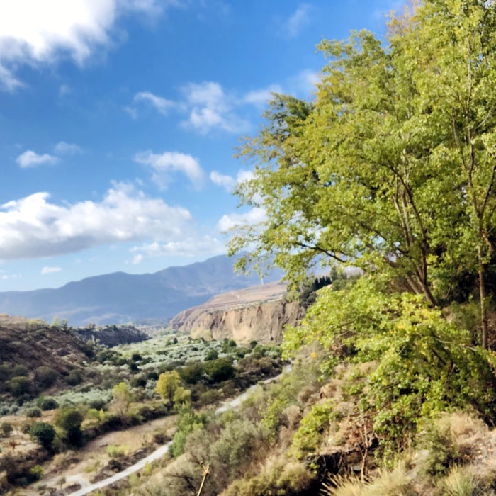 Sightseeing Andalucia, Granada