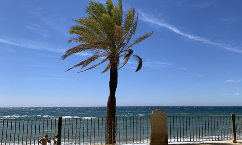 beach day trip - the turning point