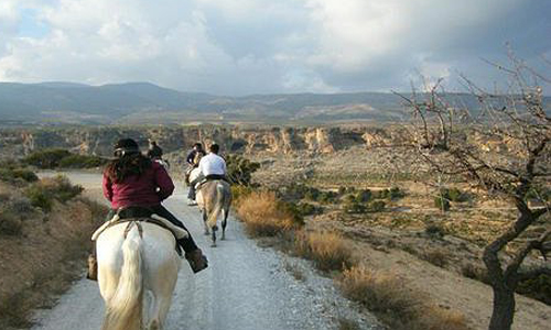 horse trekking in Granada